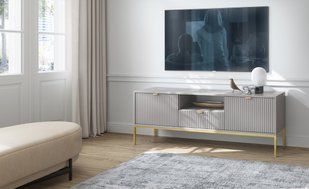 Тумба под телевизор Perfect Home Новая/Nova 1-дверная с 2 ящиками и золотыми ножками RTV154 Серый фотография