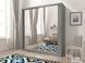 Шафа-купе Perfect Home Мая VI / Maja VI 200 2-дверна з дзеркалом Графіт
